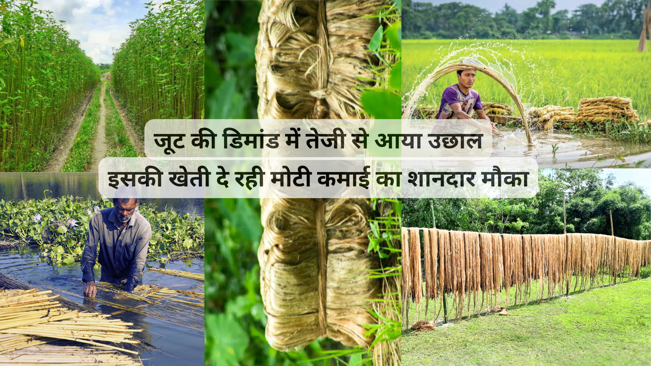 jute_Business_ideas